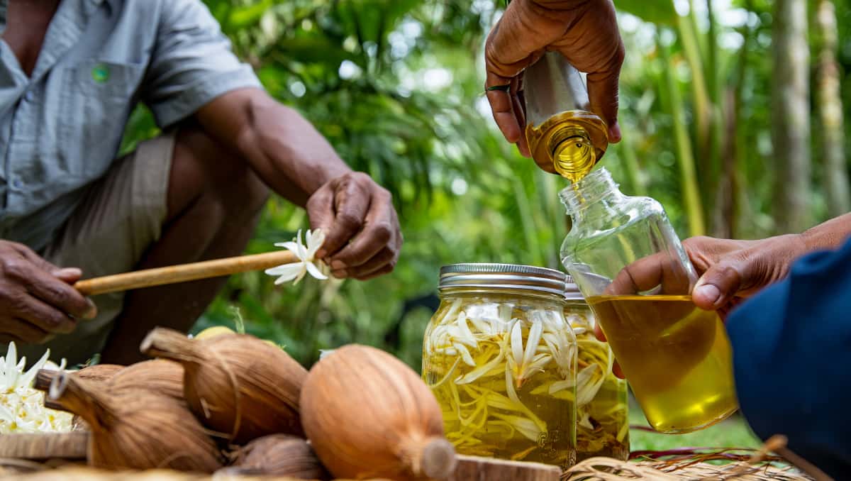 Du champ à la bouteille : immersion chez les artisans du monoï