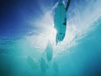 Taapuna Master : 31 ans de passion et d’excellence sur les vagues de Punaauia