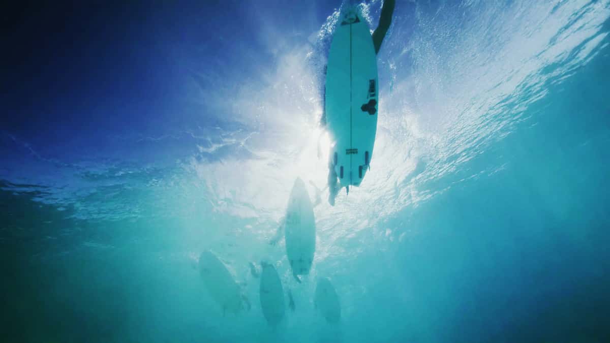 Taapuna Master : 31 ans de passion et d’excellence sur les vagues de Punaauia