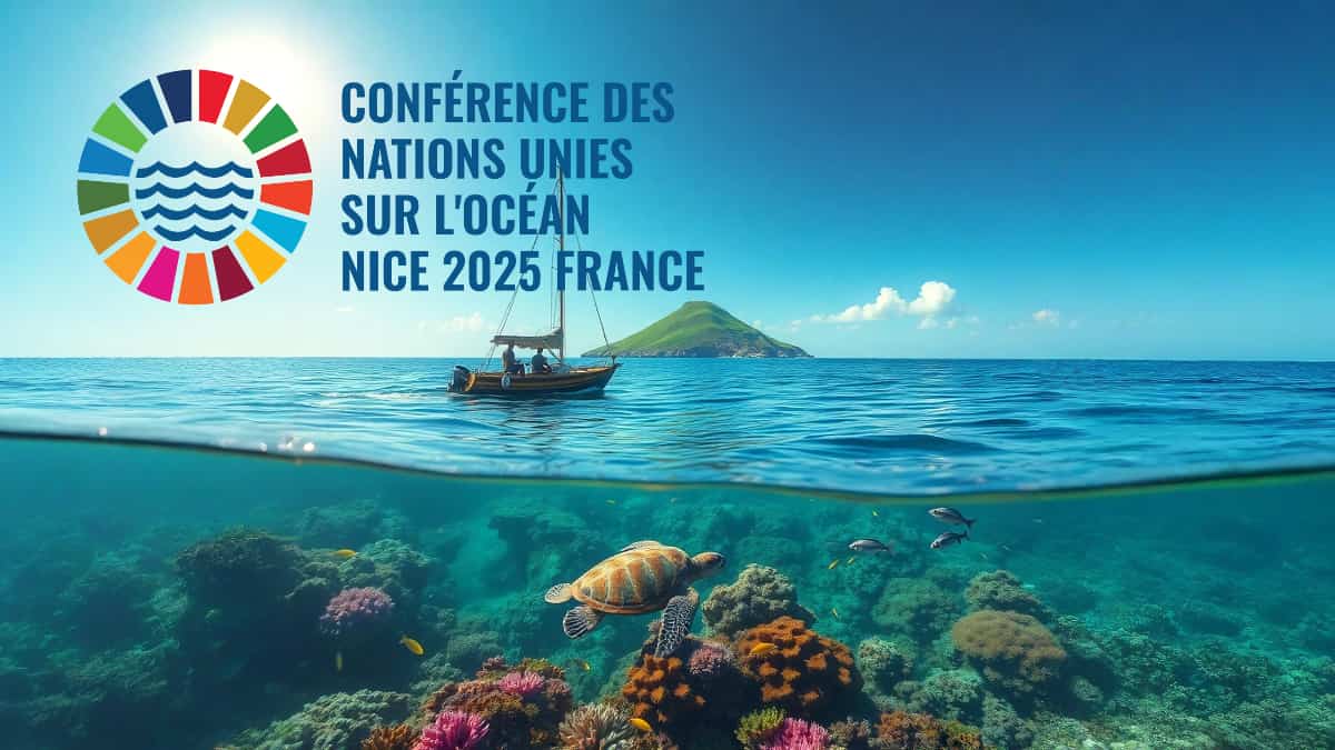 Sommet mondial de l’océan : premières réactions polynésiennes après l’annonce de la nouvelle aire marine protégée
