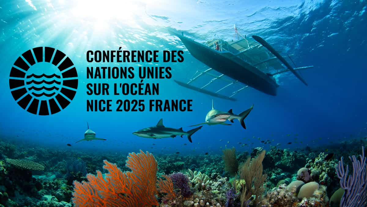 Sommet de l’océan à Nice : la Polynésie crée la plus grande aire marine protégée pour sauver requins, coraux et pêche artisanale